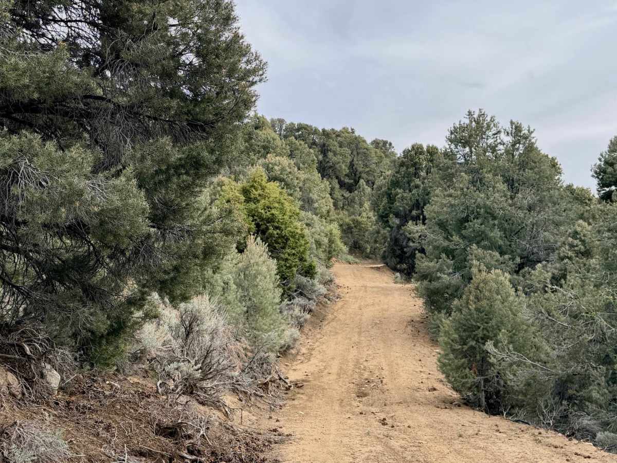 Willow Creek Loop (FS43493) photo 2