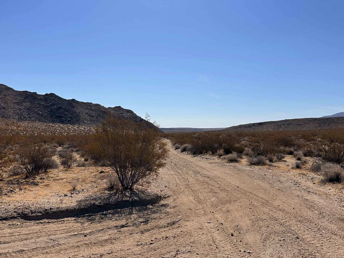 Borax Highway Ridge photo 5