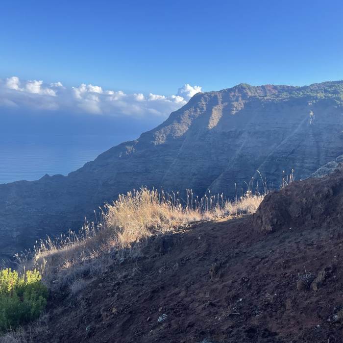 View from canyon edge Near Nualolo Nualolo Cliffs Awaawapuhi loop
