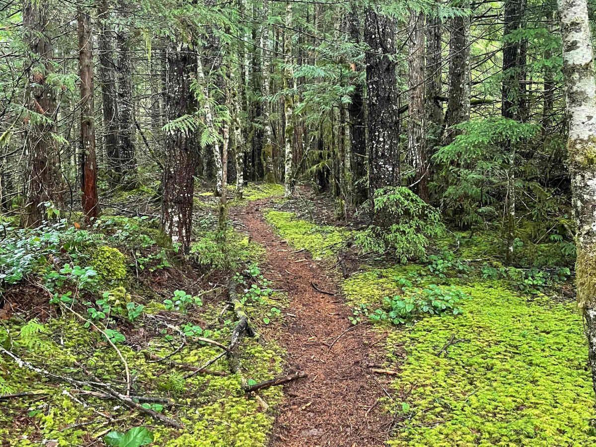 Soft Serve Connector trail photo