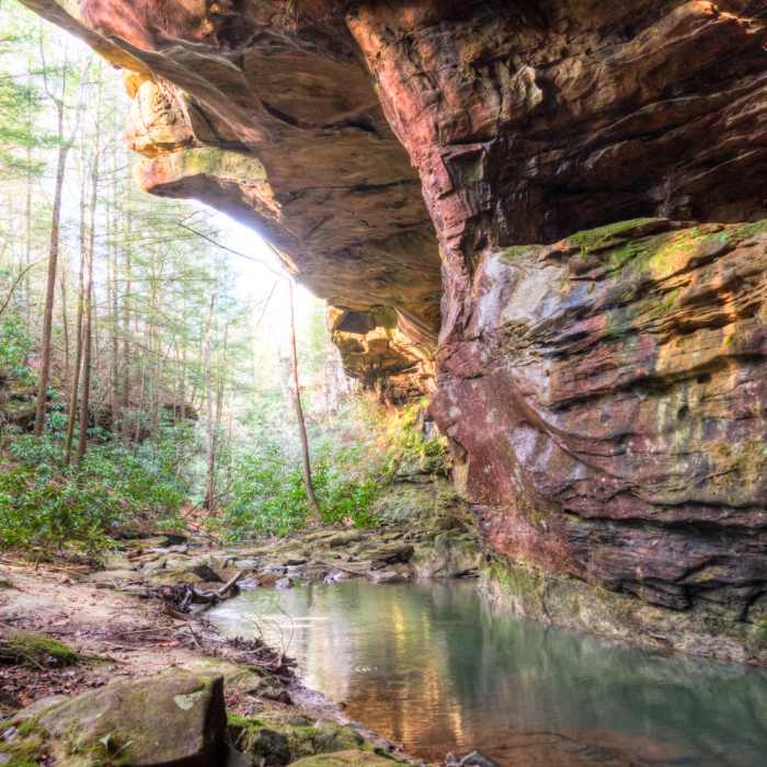 Honey Creek Trail Near Honey Creek Loop