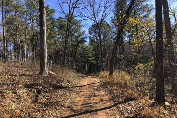 Morgan Mountain Road