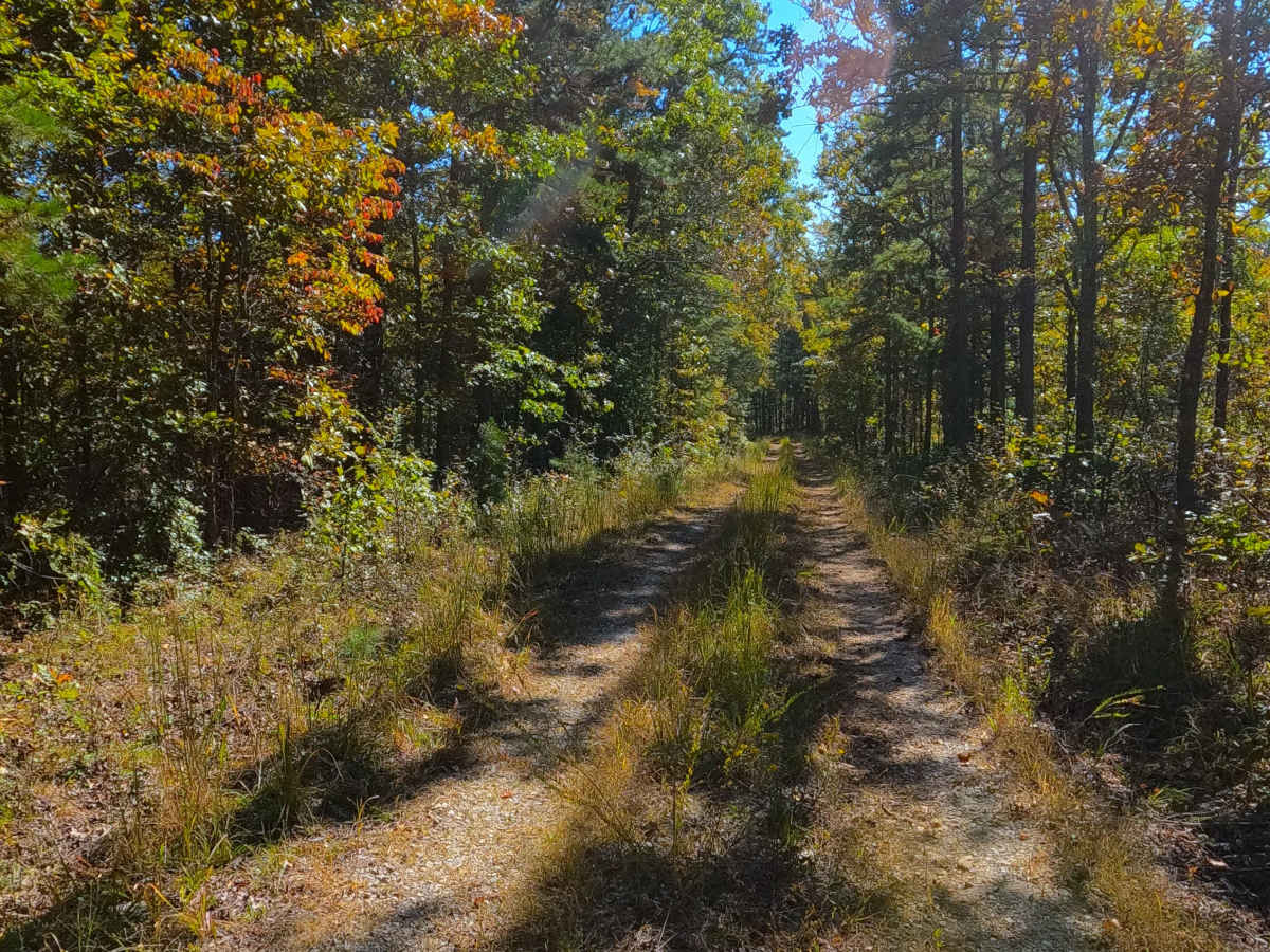 Miller Creek - FS 3750B photo 4
