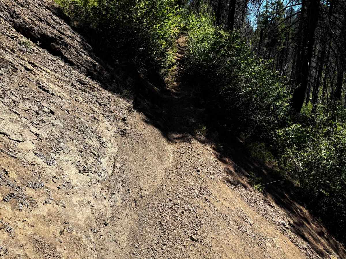 Way Creek Trail - FS 1235 photo 6