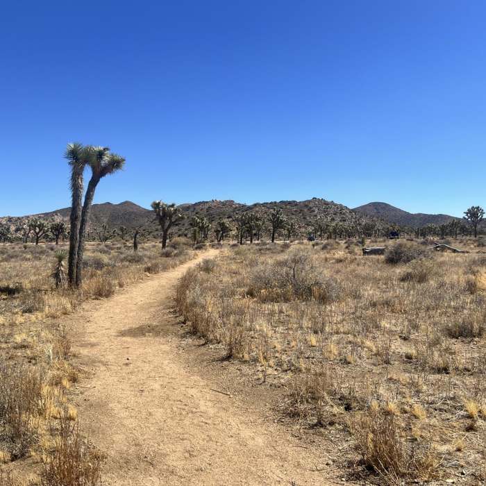 Near Juniper Flats Loop via Ryan Campground