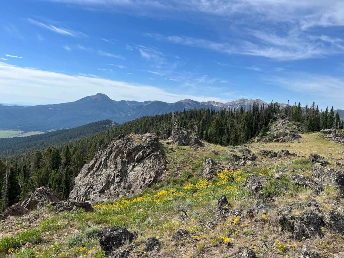 Continental Divide Trail (FS 20056) photo 5