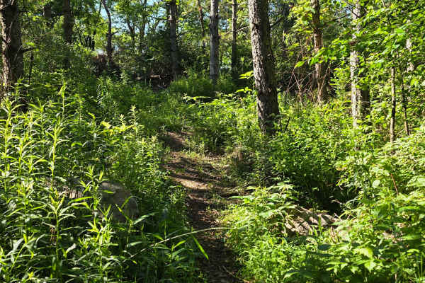 Single Track L