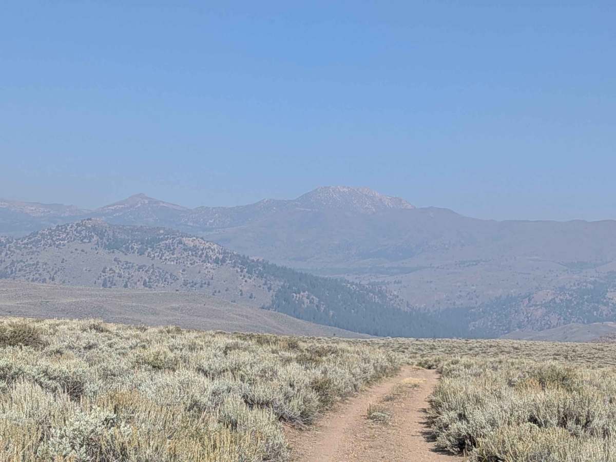 Sage Road East - FS 32066E photo 4