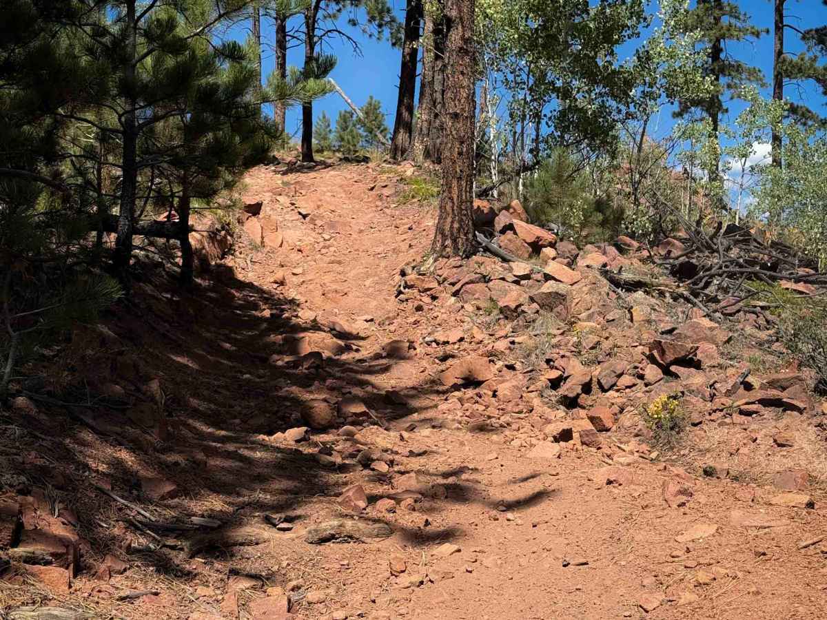 Ridge Trail 734  photo 3