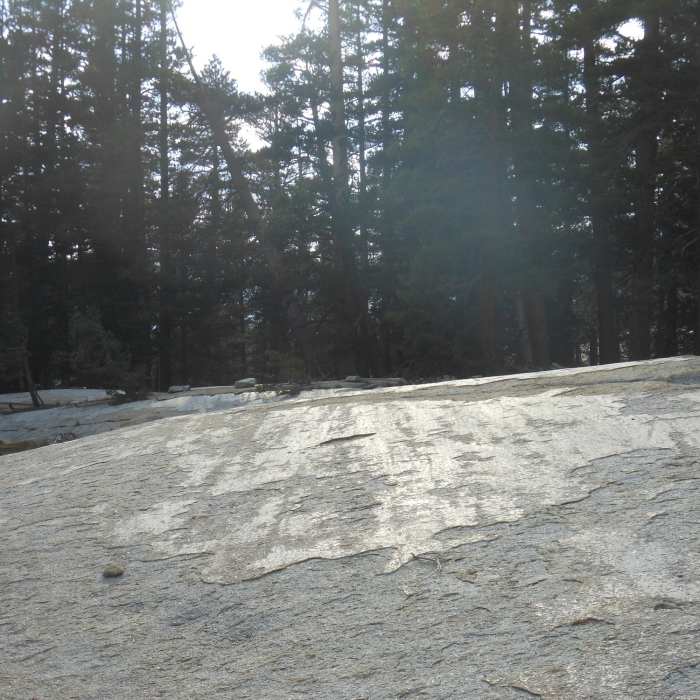 Near Merced River Shelf