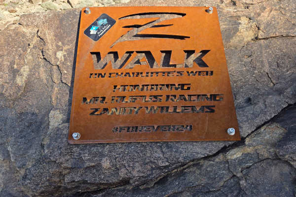 Z Walk