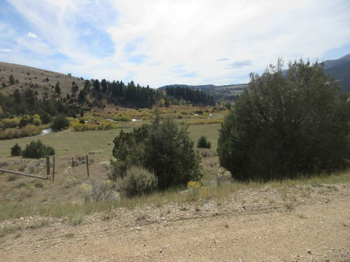 Warm Springs Creek Road (FA 163)/Cow Camp Road (FS 1234) photo 5