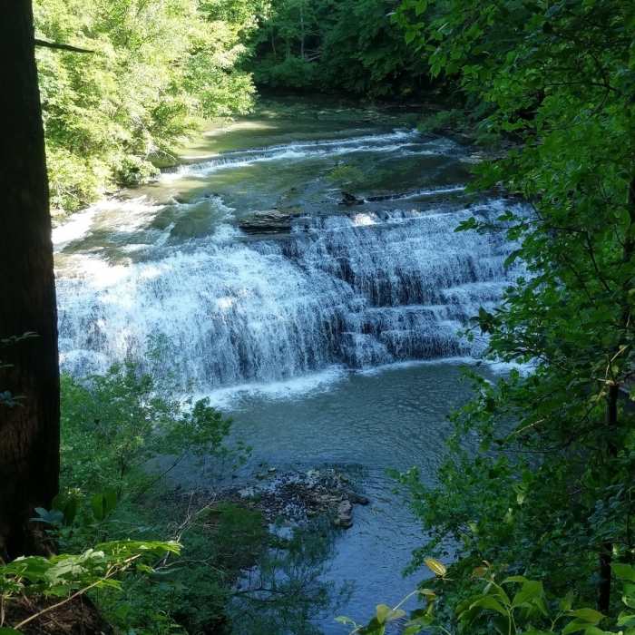 Near Burgess Falls Trail