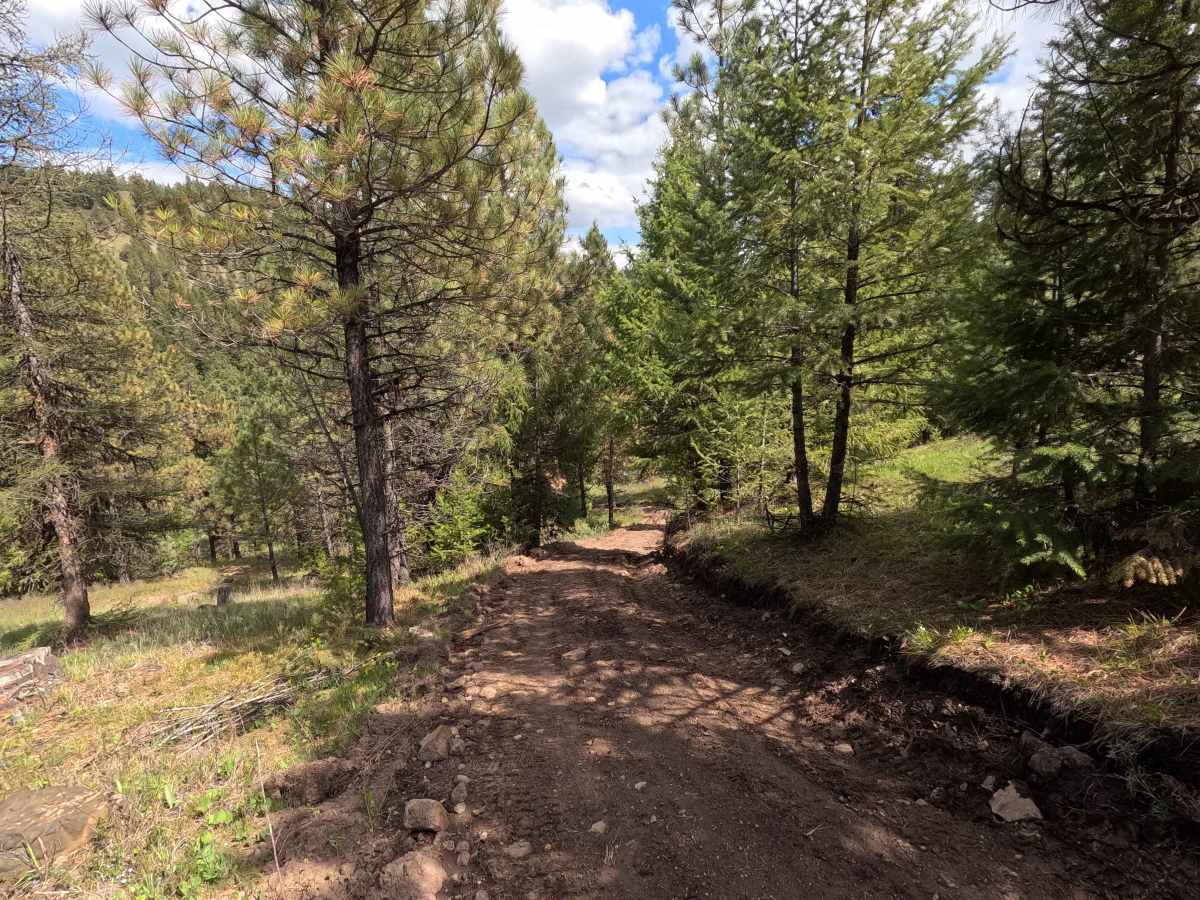 Trail G1 photo 4