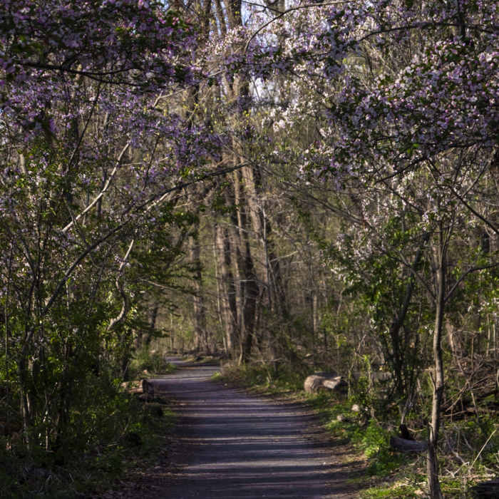 Near John Muir Trail