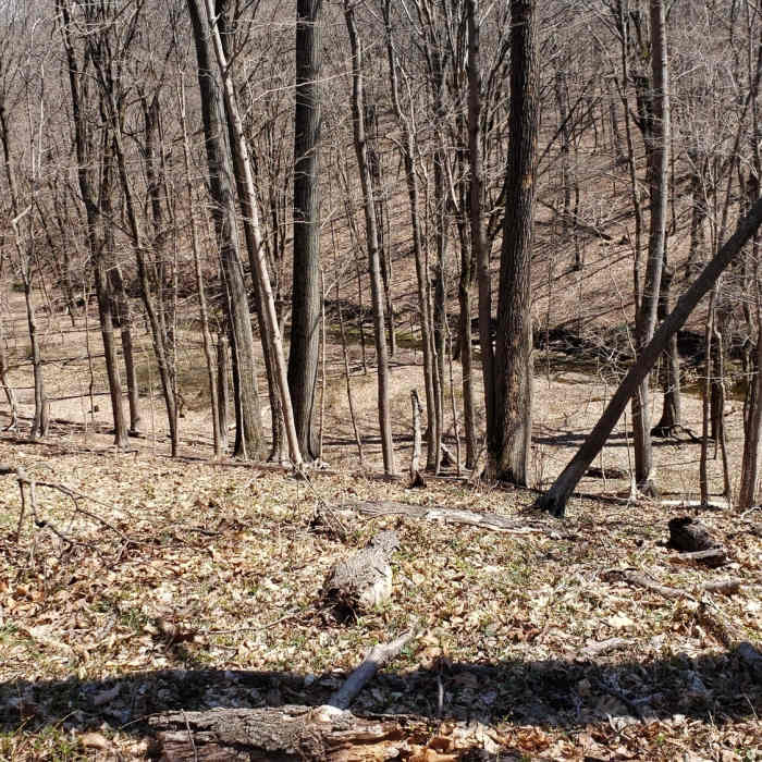 Near South Bank Trail