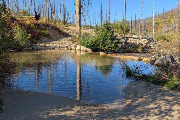 Long Creek - FS 545