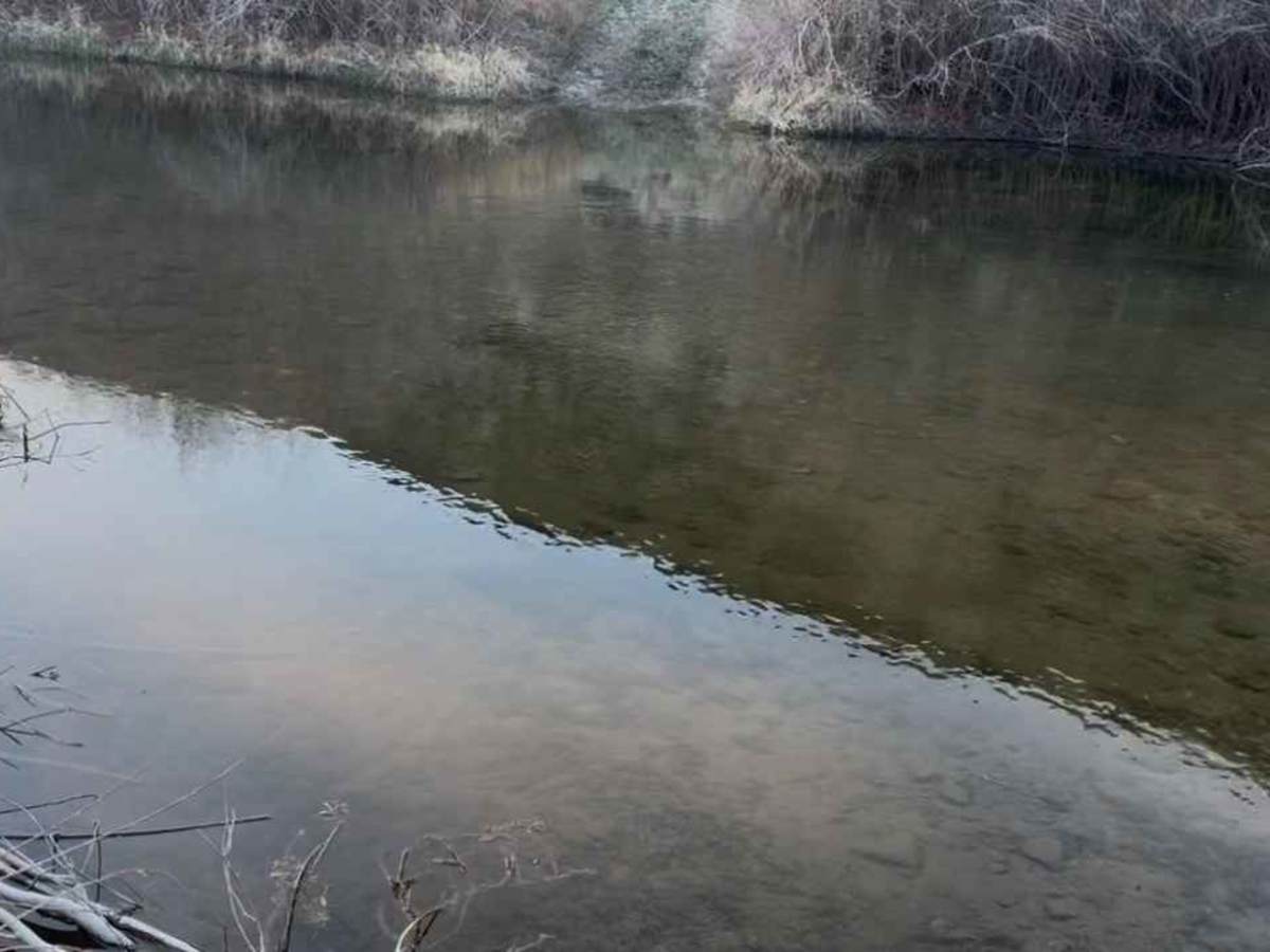 BLM South Fork Owyhee Crossing photo 5