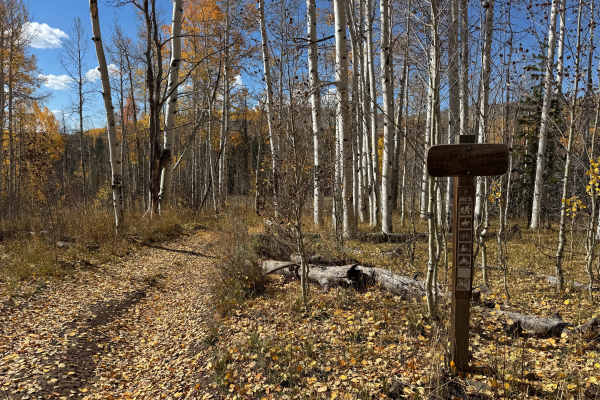 Crane Park Trail