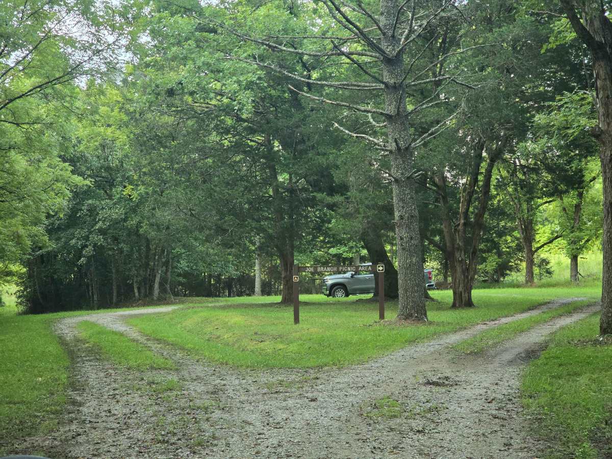 Joe Branch Road photo 5