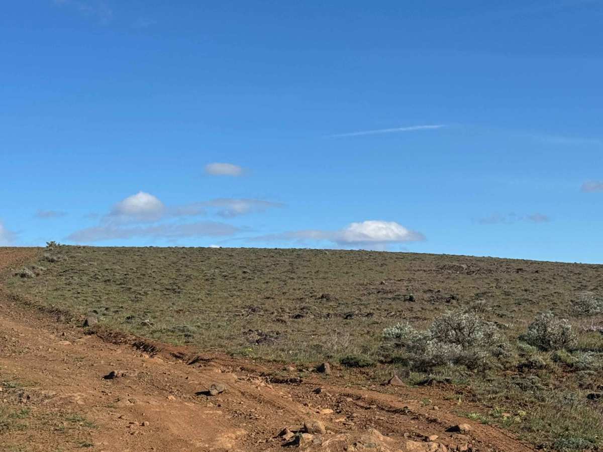 Buffalo Ridge Road photo 3