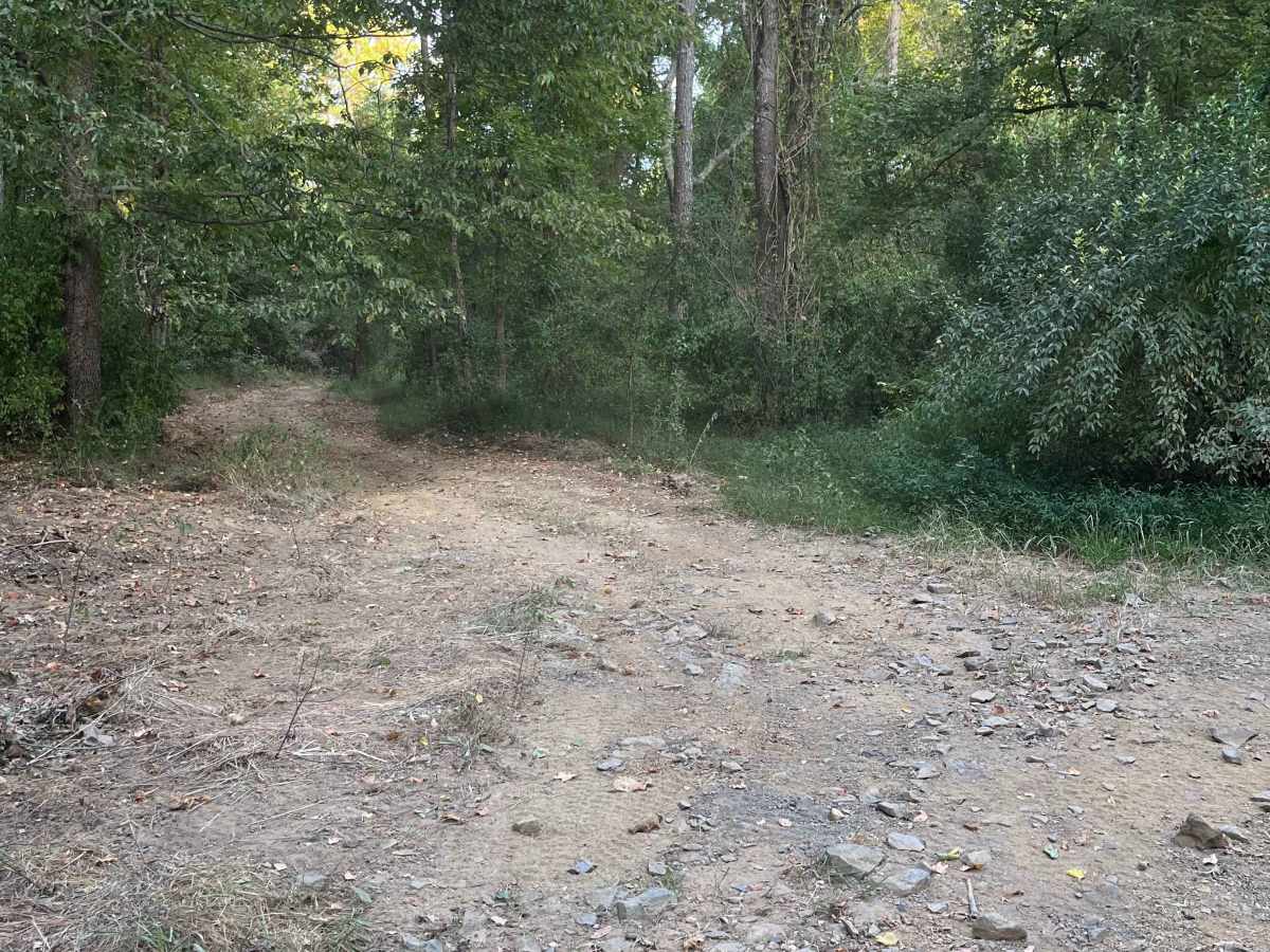 Pallet Trail photo 3