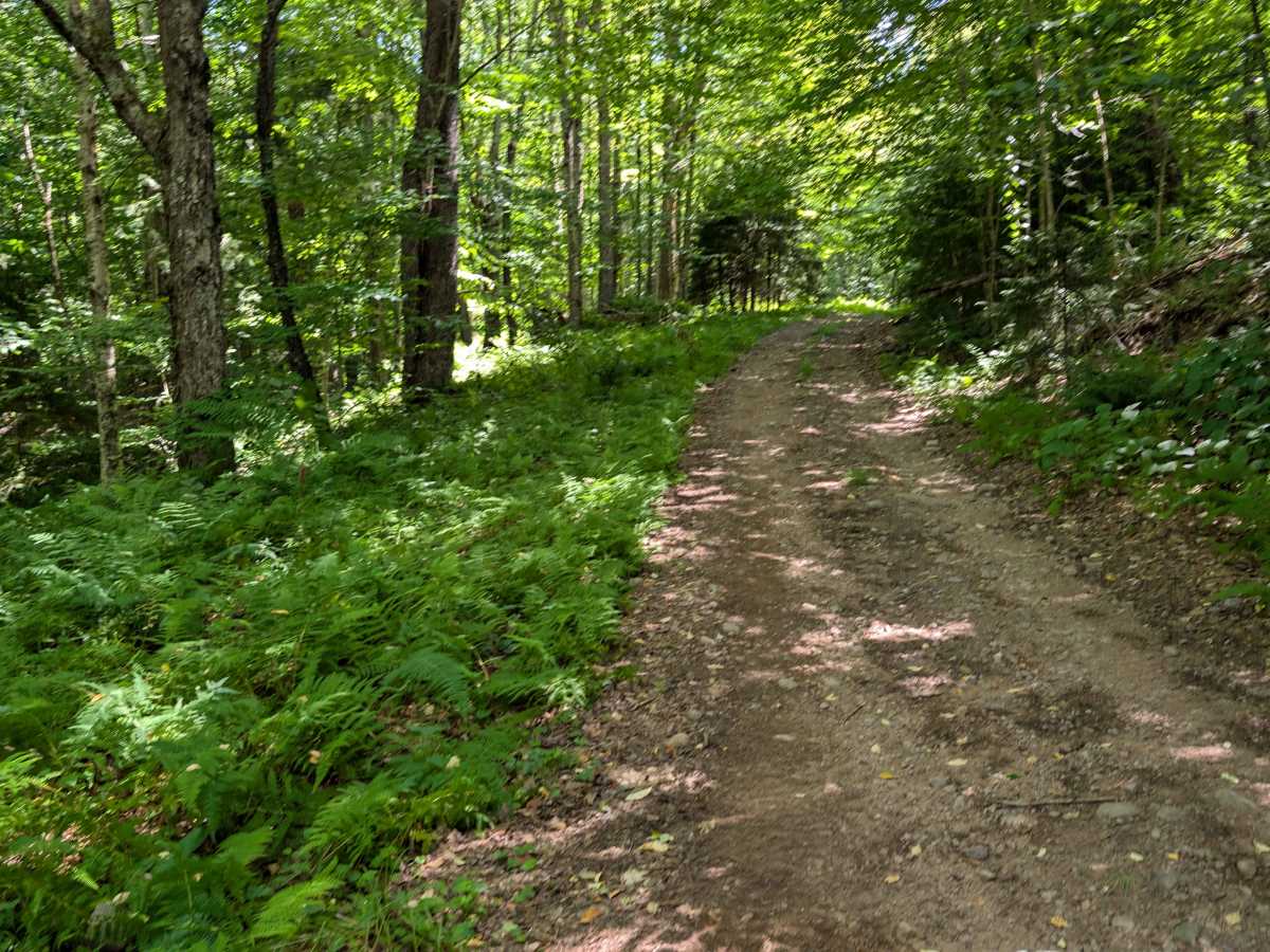 Grass River Trail photo 2