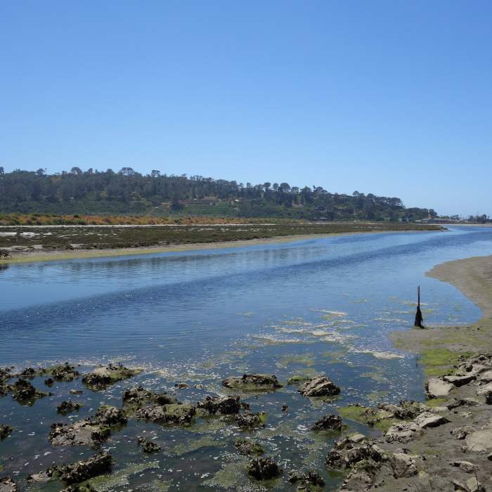 San Dieguito Lagoon with Del Mar in the background to the SWW. Near Coast to Crest Trail: San Dieguito Lagoon