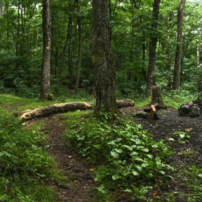 Near Chimney Mountain