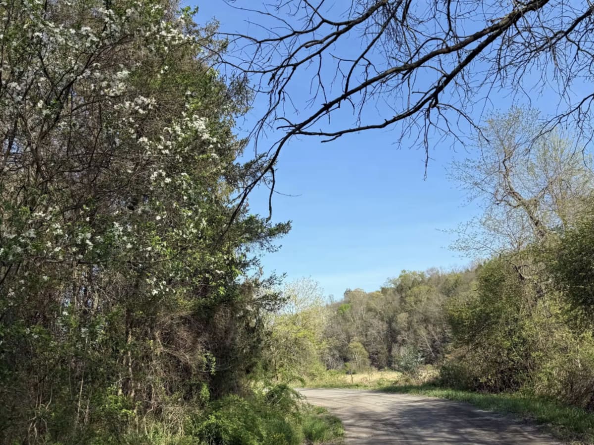 Randts Mill Road  photo 4
