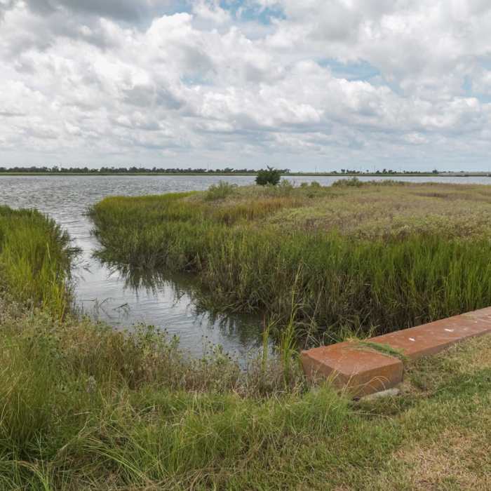 Near Historic Dike System Trail Near Historic Dike System Trail