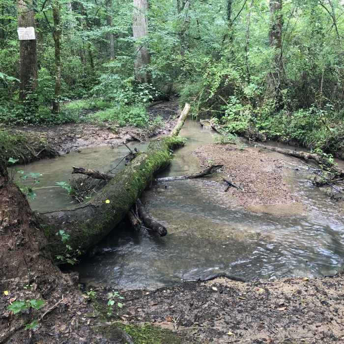 Near Maryville Woods College Loop