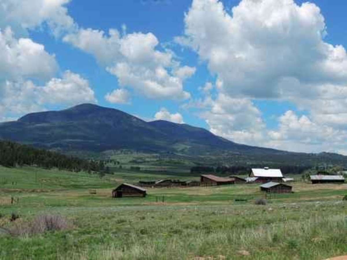 Countryside Tour photo 3