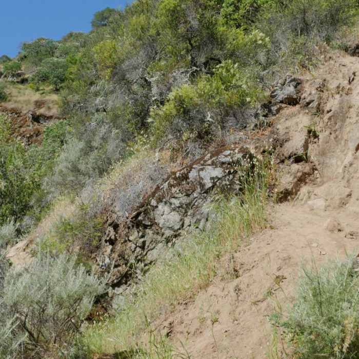 Near Novato Hill Climb