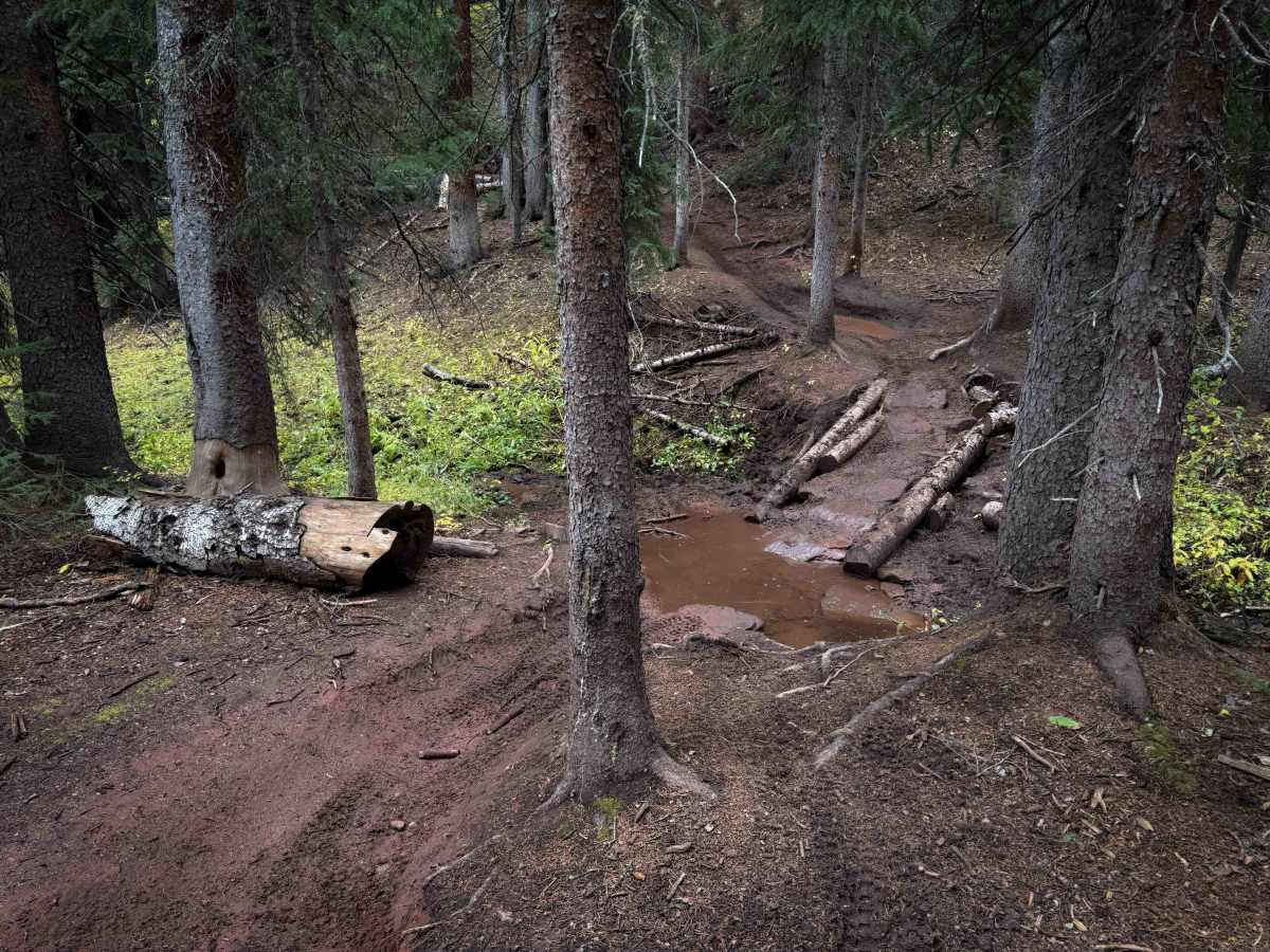 Waterfall Creek Trail - FS 555  photo 4