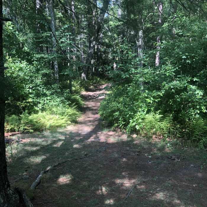 Near Blue Trail