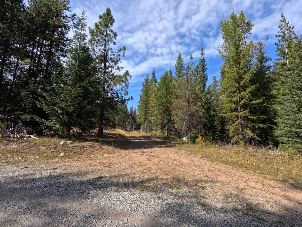 Kennett Meadows- FS 1700460 trail photo