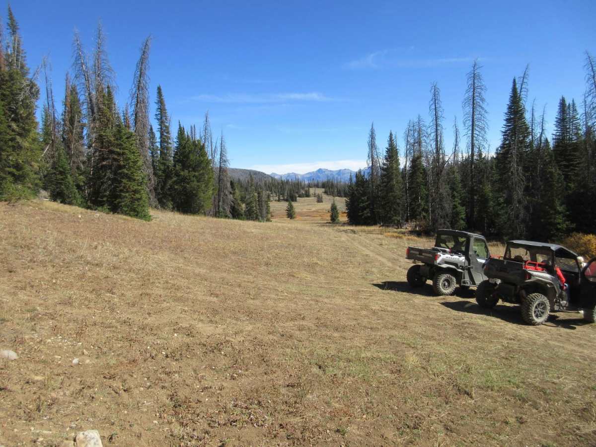 Standard Creek Rd w/Wolverine Basin photo 2