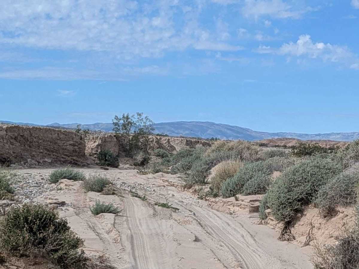 BLM 063 photo 6