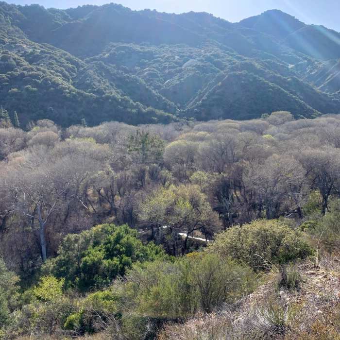 Near Santa Ynez Mountains Loop
