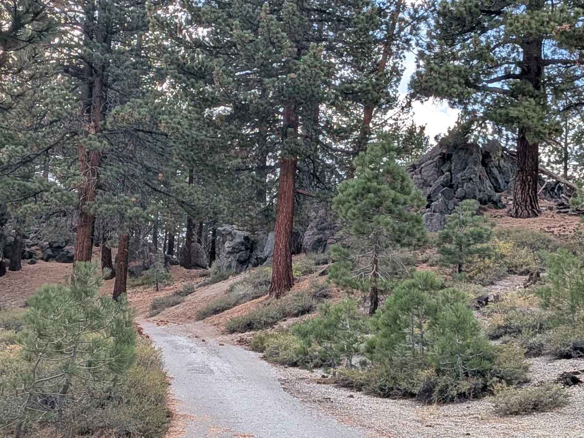 Crestview Radio - FS 2S21 trail photo