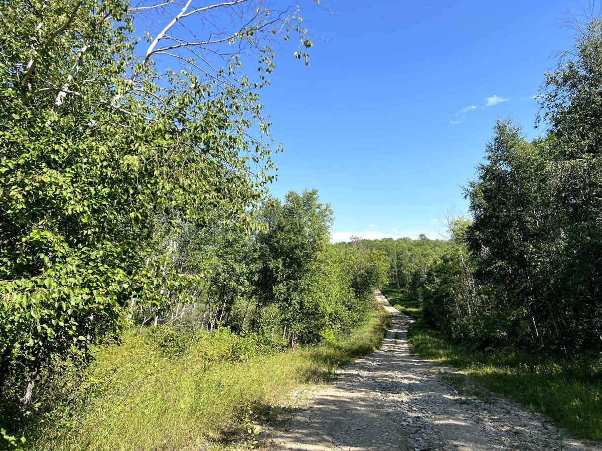 Centre Road - Moose Mountain Provincial Park photo 5