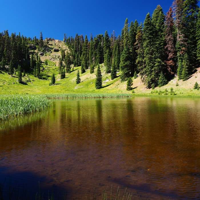 Hinkle Lake Near Hinkle Lake Trail