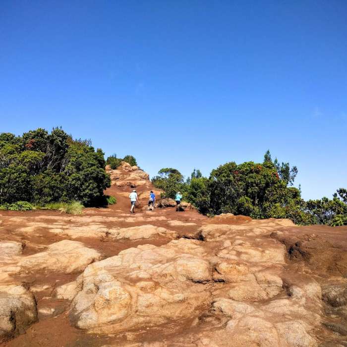 Near Pihea to Kilohana Out and Back Near Pihea to Kilohana Out and Back