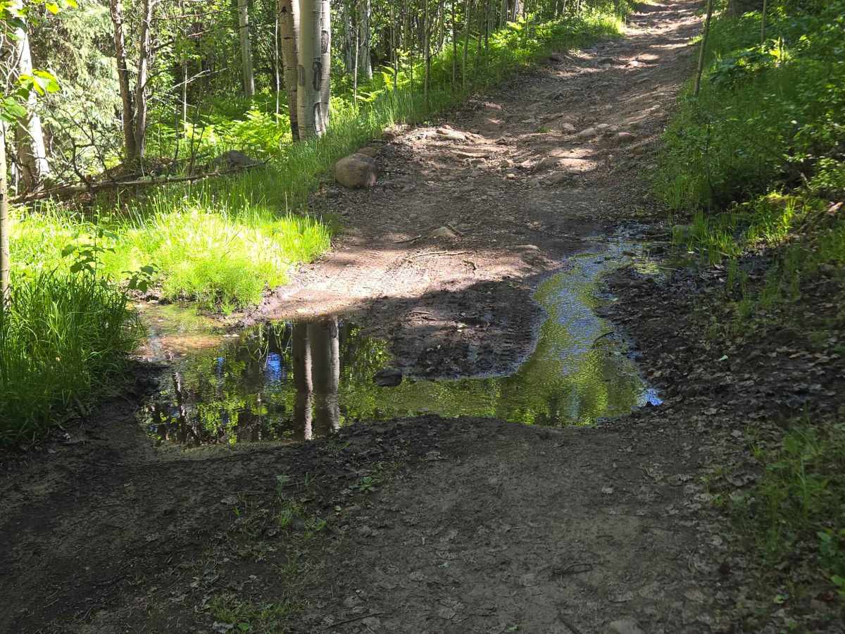 Black Mountain Road photo 4