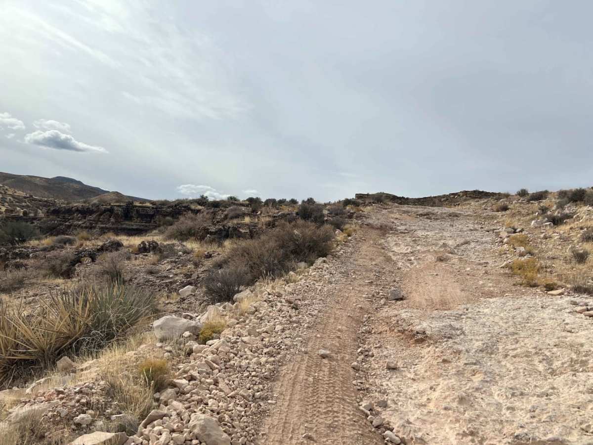 Segmiller Mountain - Sunshine Trail Interconnect photo 6