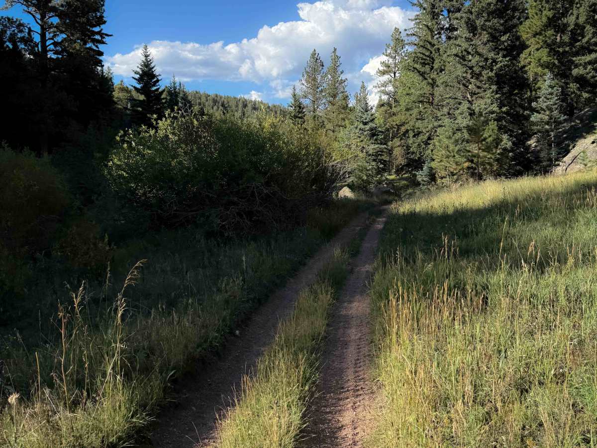 Broken Swing Arm Trail - FS 717F  photo 6