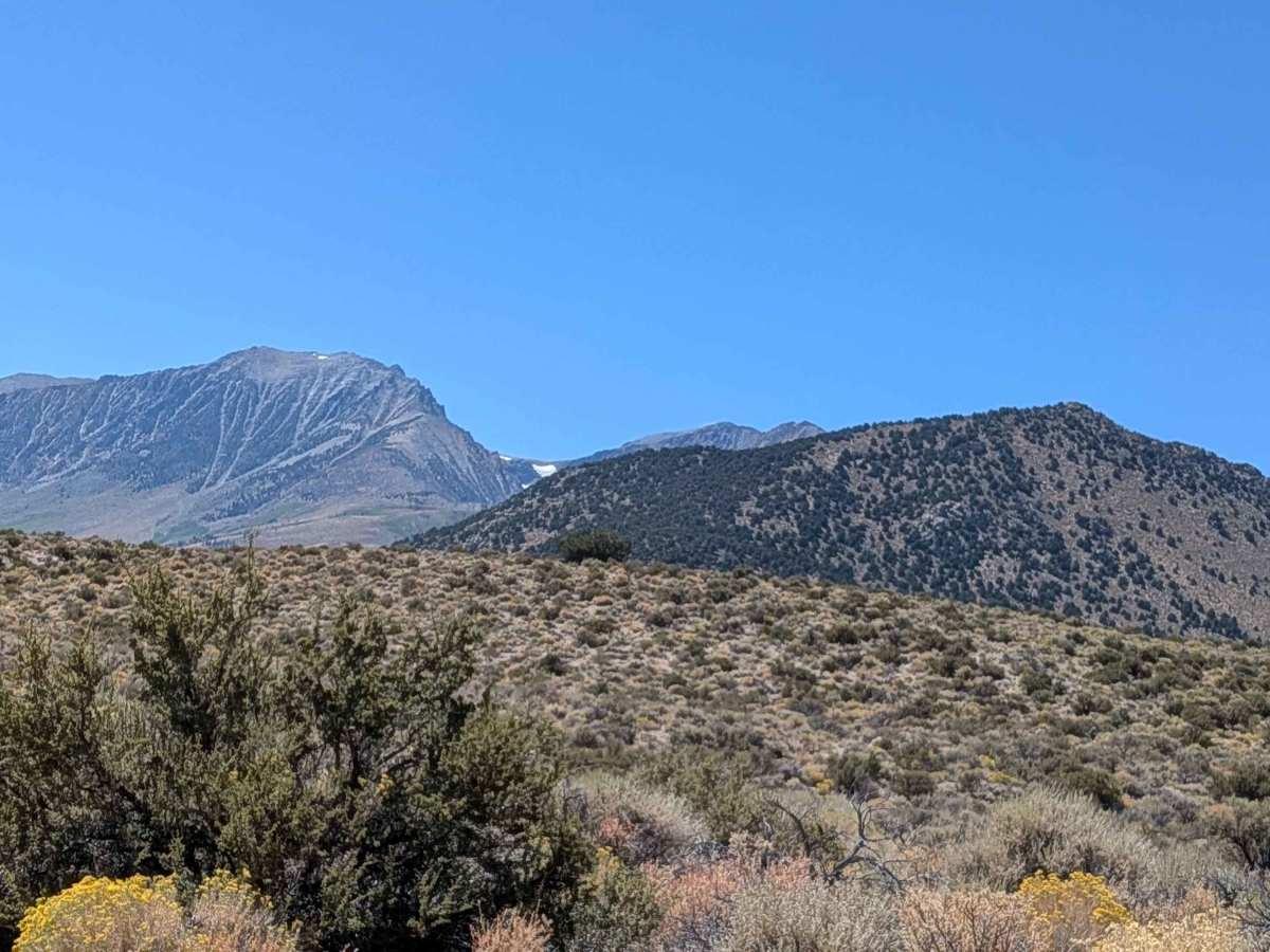 Rush Creek Road photo 4