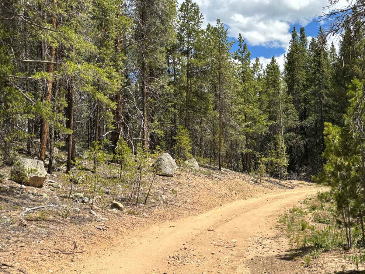 Sellar Lake Road photo 4