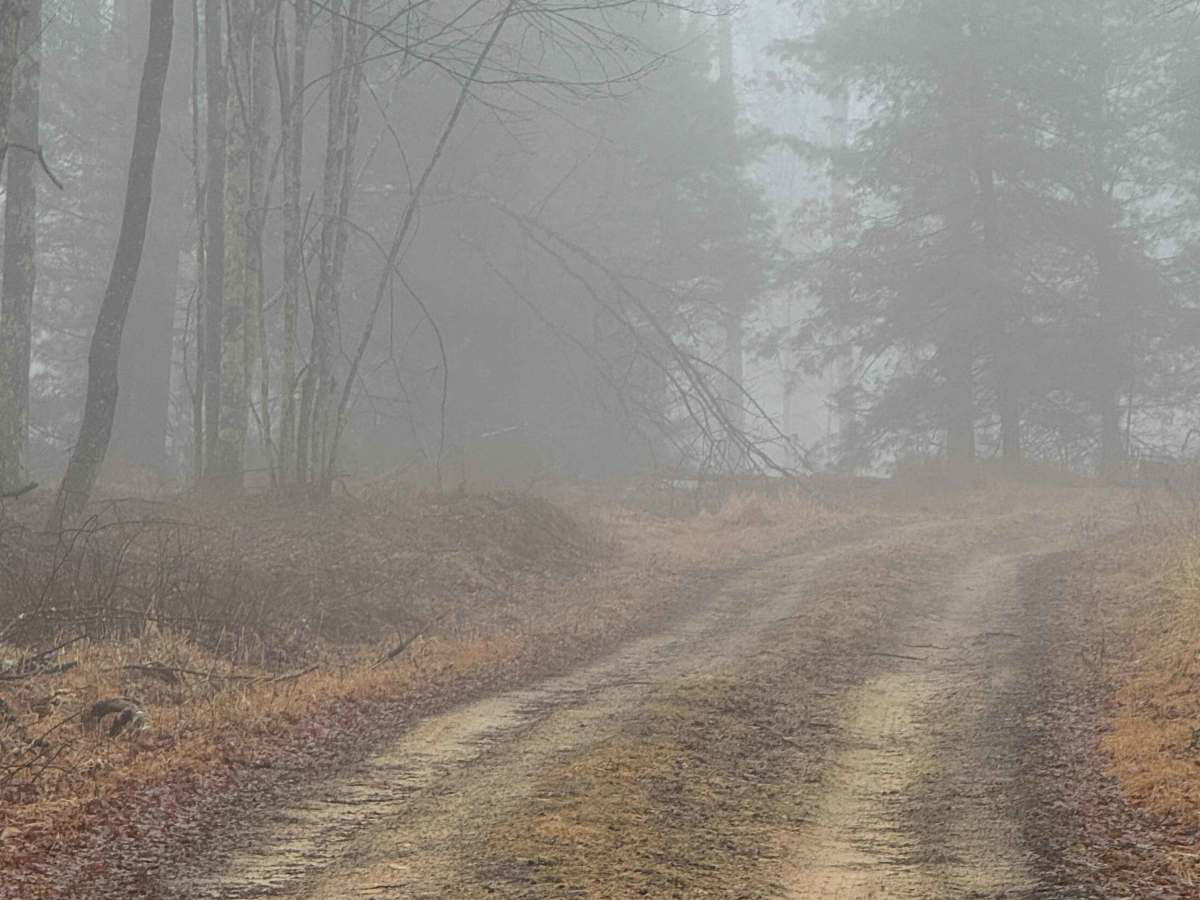 Teats Run Trail photo 6